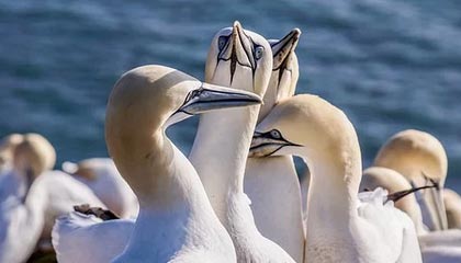 迪庆高价上海医保提取2025的最新政策(2025年迪庆上海医保怎么提取现金分享)