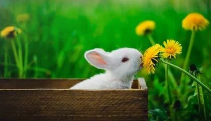 迪庆高价上海医保提取2025的最新政策(2025年迪庆上海医保怎么提取现金分享)